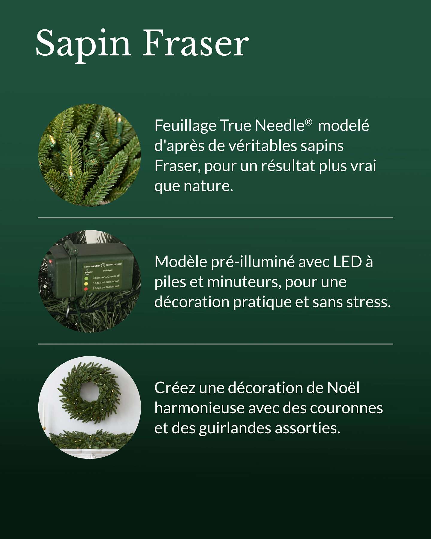 Guirlande Sapin Fraser