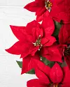 Outdoor Pointsettia Celebration Foliage by Balsam Hill