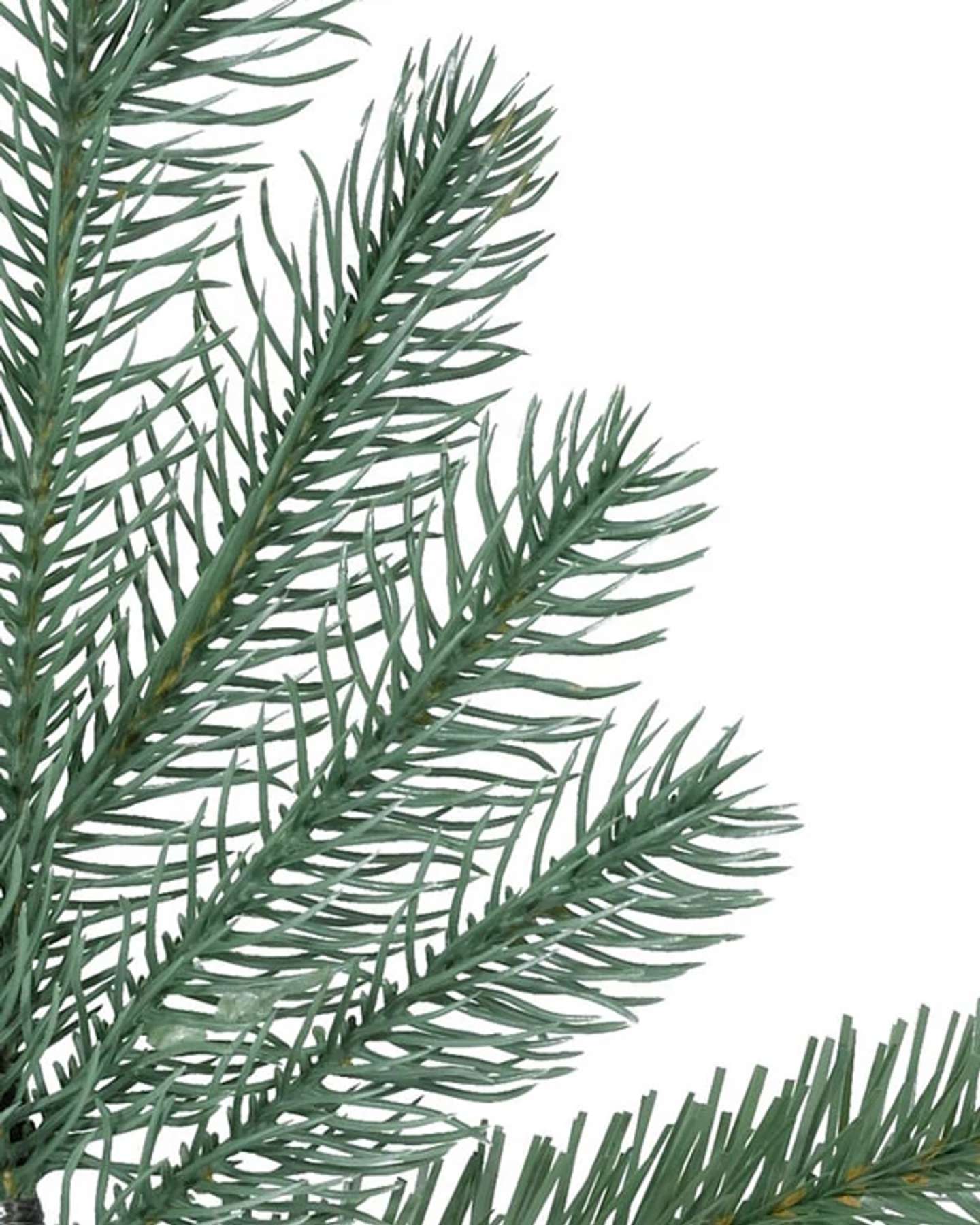 Balsam Hill Cathedral Fir Christmas Tree Detailed Close Up of Branches