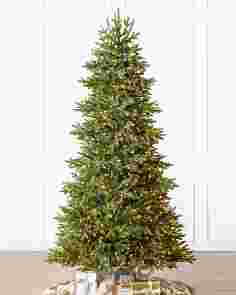 BH Norway Spruce Candlelight Clear SSC by Balsam Hill