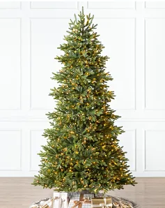 BH Norway Spruce Trees - 6 Foot