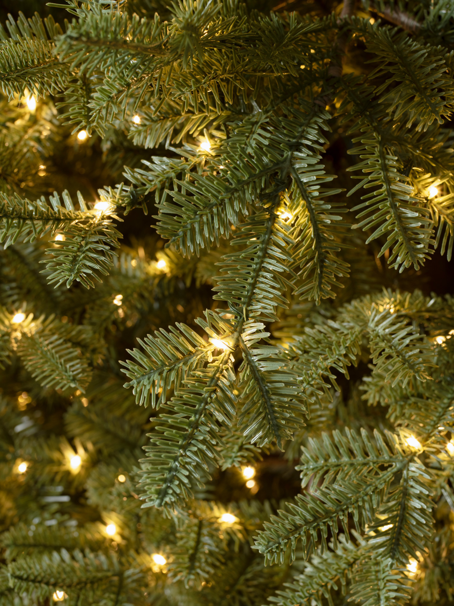 BH Balsam Fir Christmas Tree | Balsam Hill