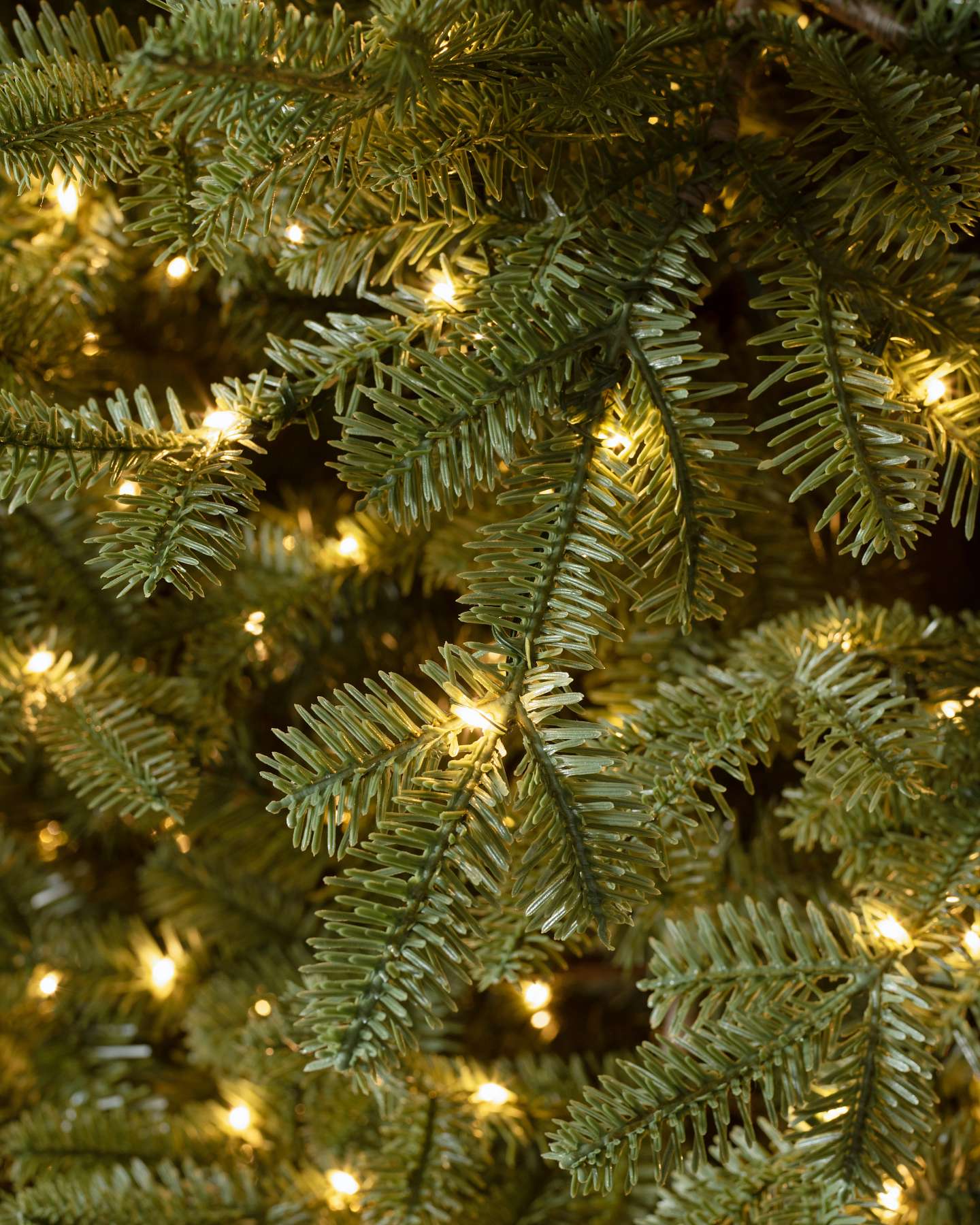 Balsam Hill Balsam-Tannen-Weihnachtsbaum LED-Lichter | Nahaufnahme