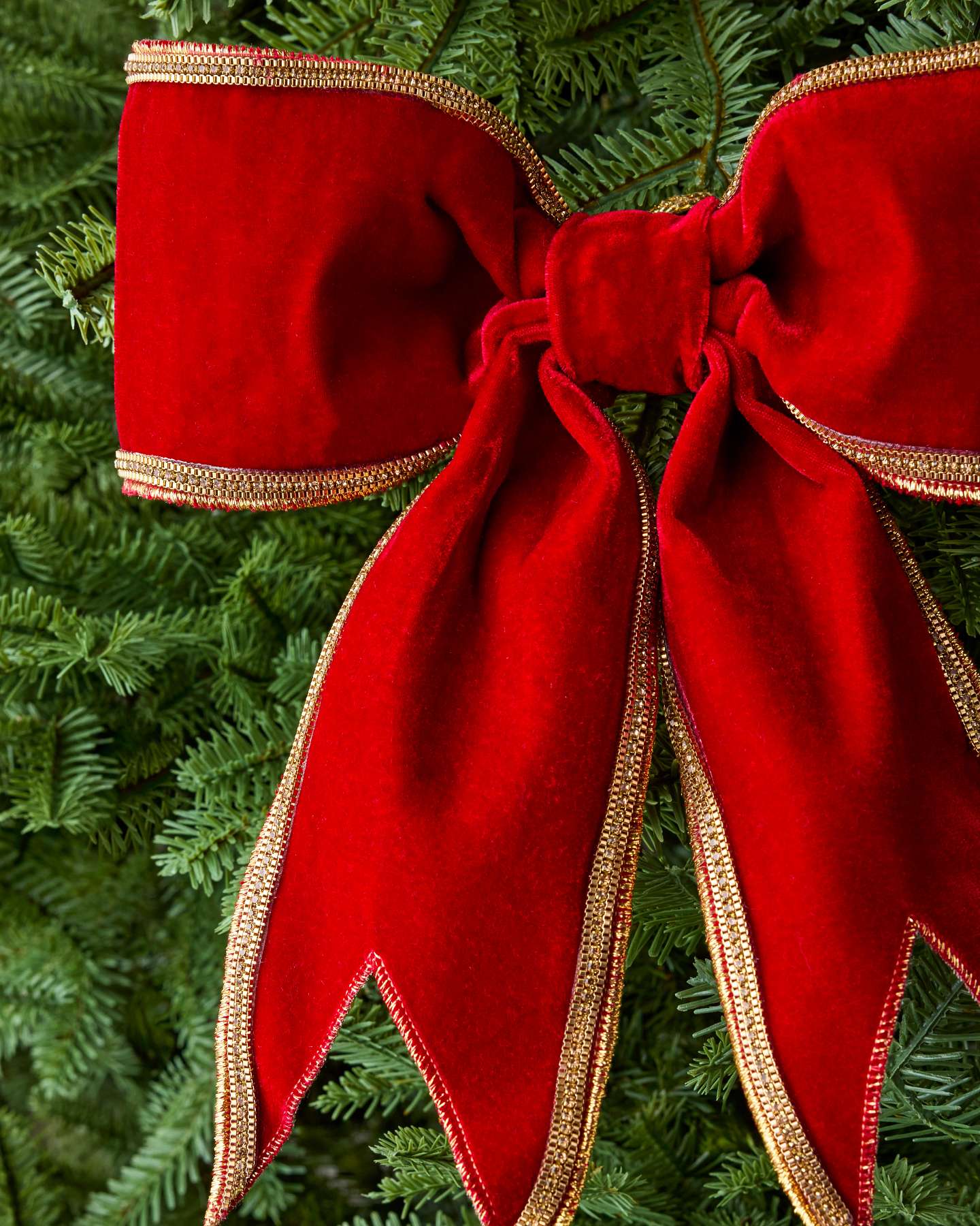 Red Velvet Gold-Edged Pre-Tied Bow