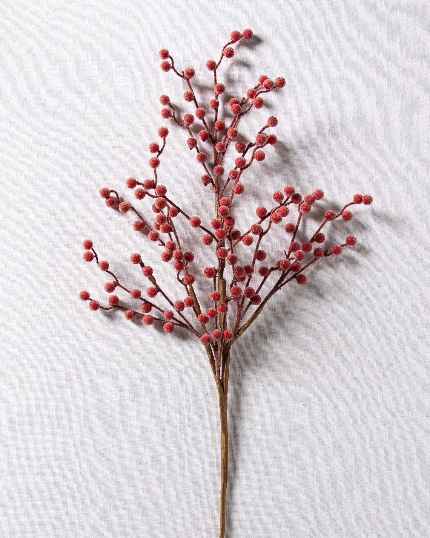 Balsam Hill Sugared Berry Artificial Picks Set of 12 Close-Up Display