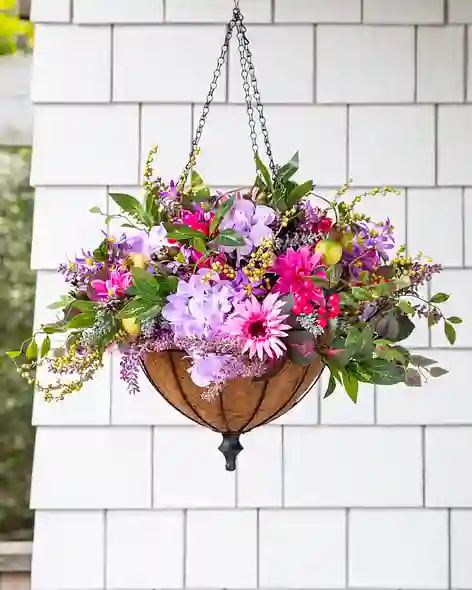 Vibrant Summer Bloom Hanging Basket by Balsam Hill SSC