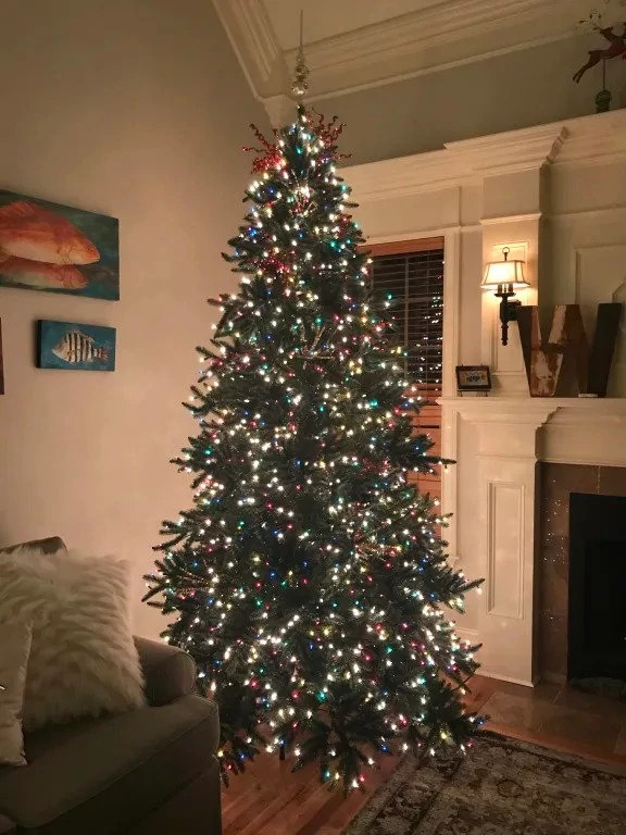 California Baby Redwood Christmas Tree Balsam Hill