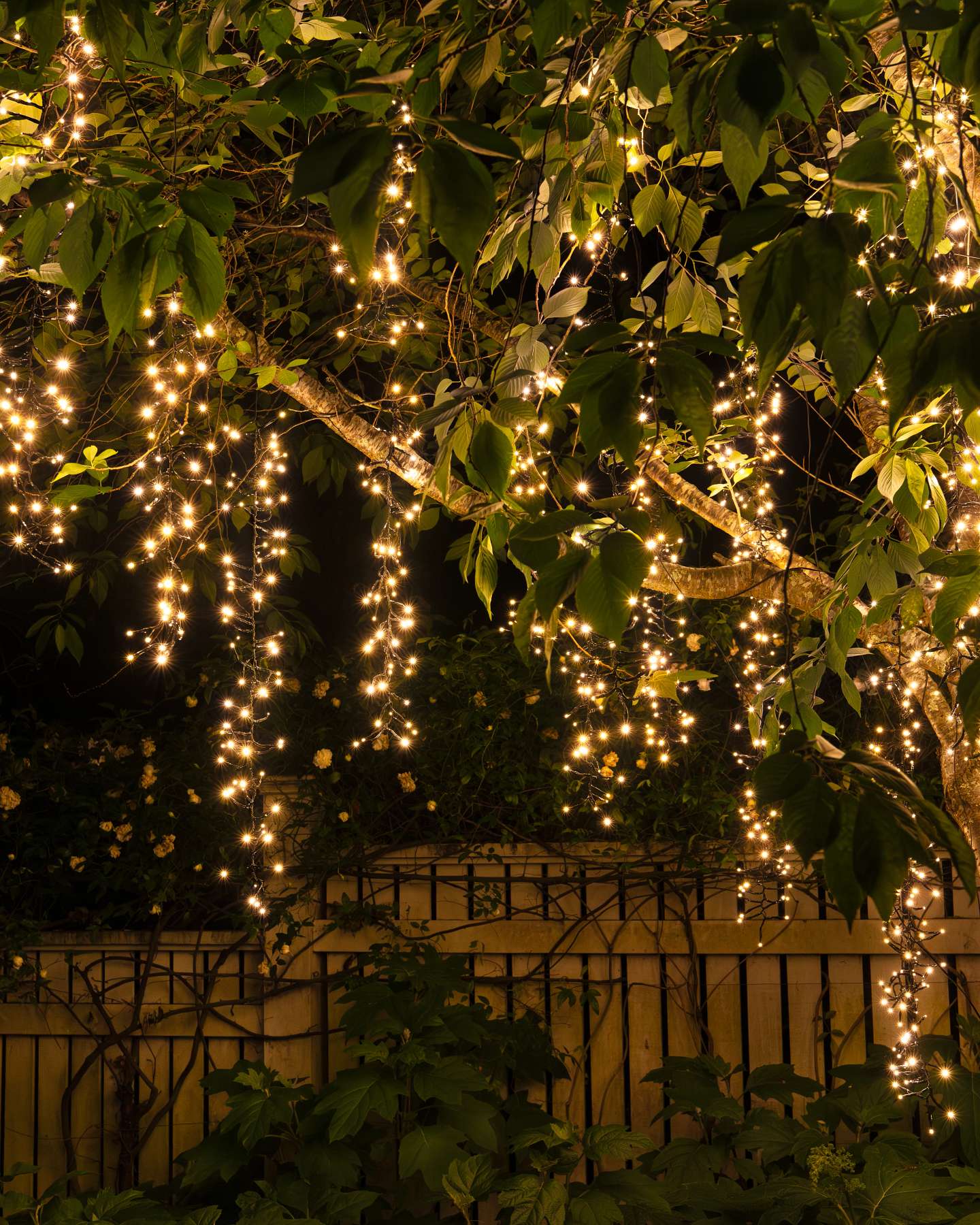 Balsam Hill Outdoor Cascade Tree Light String Display