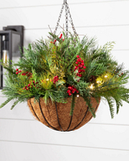 Artificial evergreens with red berries and pinecones in a hanging basket