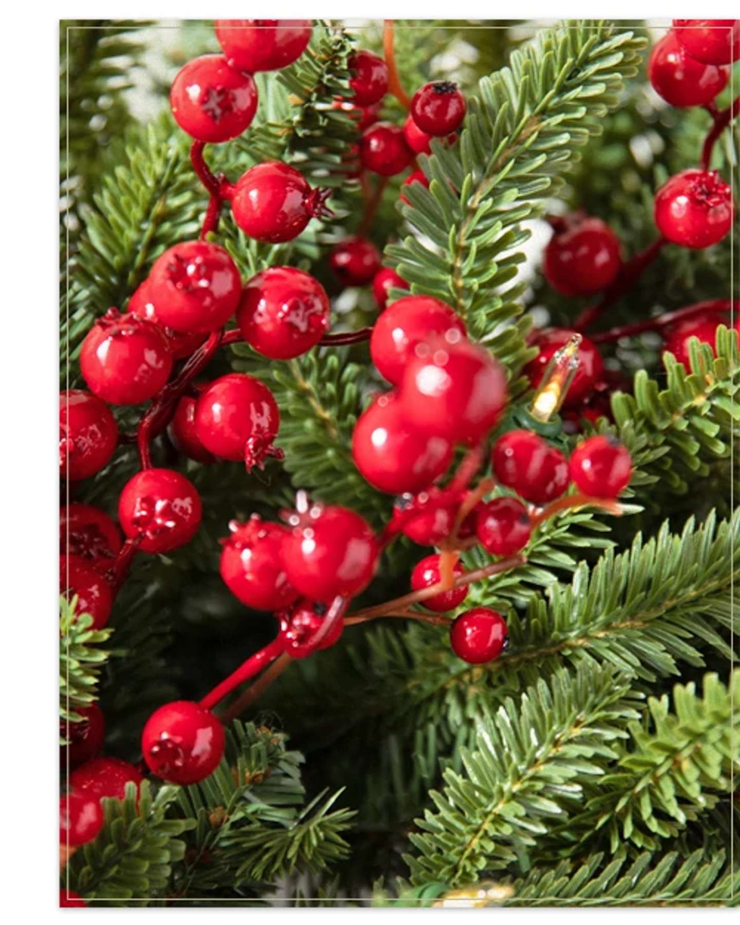 Balsam Hill Red Berry Fraser Fir Artificial Christmas Foliage Product Display