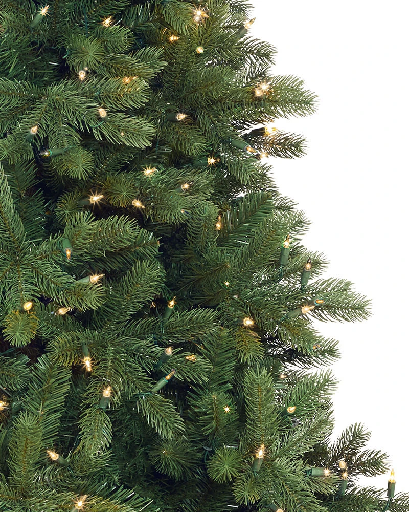 Woodland Spruce