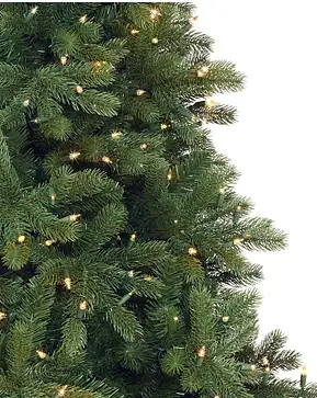 Woodland Spruce Woodland Spruce