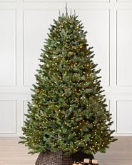 Künstlicher Weihnachtsbaum des Typs „Fraser-Tanne“ in einem weißen Raum