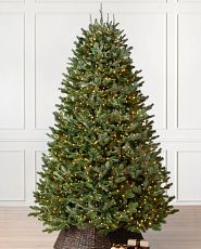 Fraser fir artificial Christmas tree pre-lit with clear lights