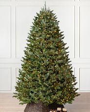 Fraser fir artificial Christmas tree pre-lit with clear lights