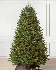 Sapin de Noël artificiel à forme pleine et pré-illuminé avec lumières DEL transparentes