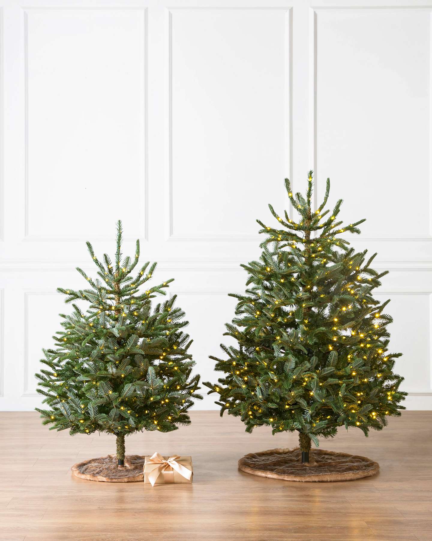 Balsam Hill Baby Nordmann Artificial Christmas Tree Full Display
