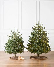 Duo de sapins de Noël artificiels de table