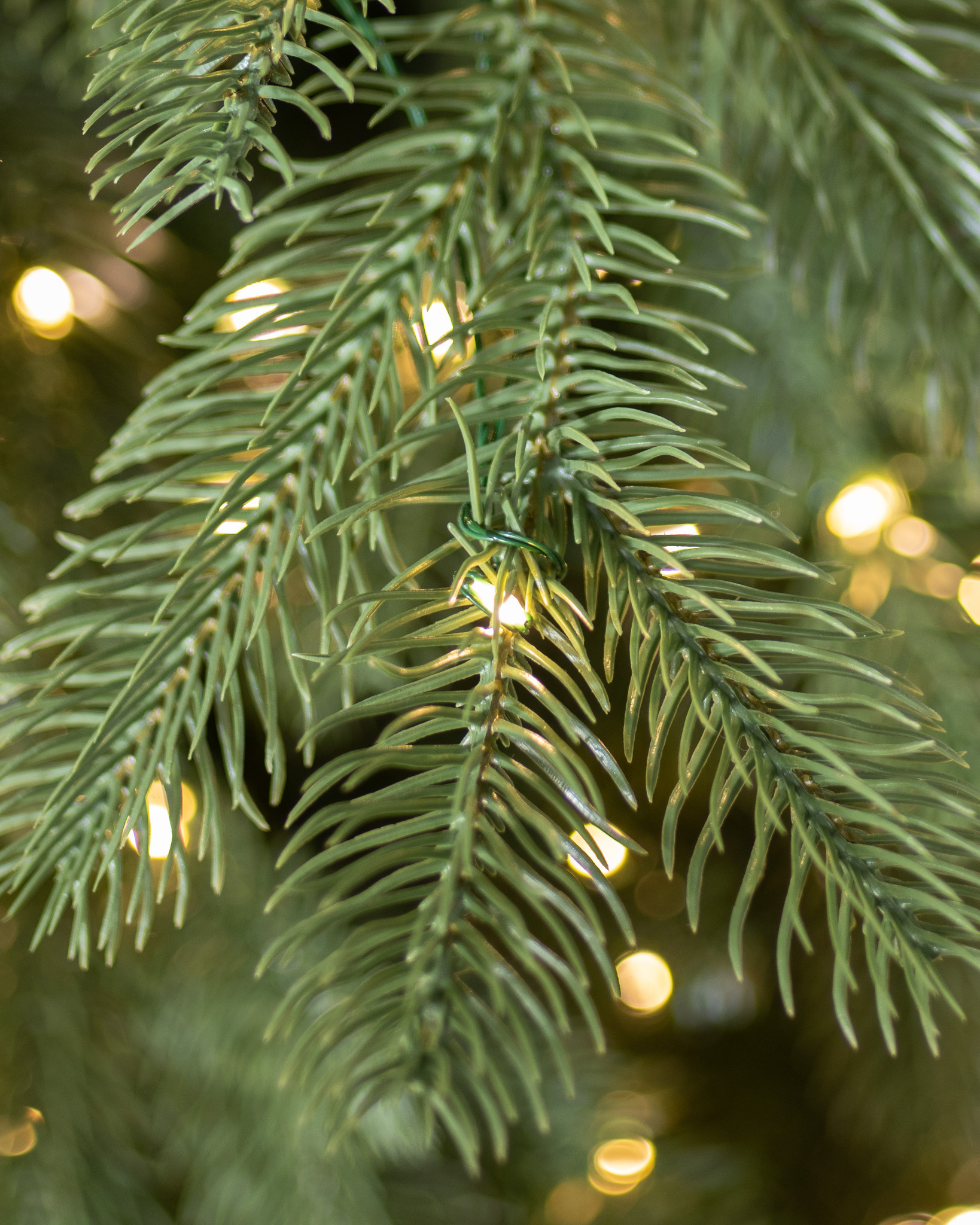 Cathedral Fir Artificial Christmas Tree Balsam Hill