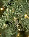 Cathedral Fir Tree by Balsam Hill Closeup 10
