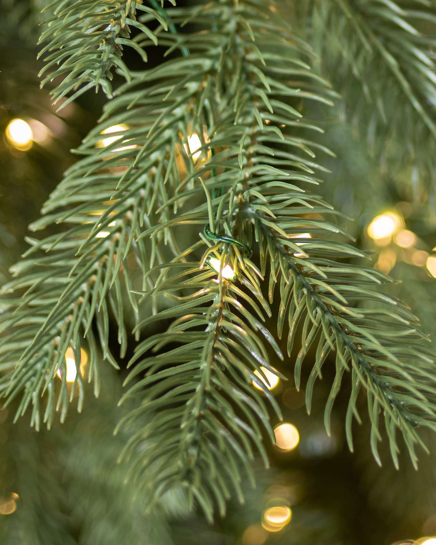 Balsam Hill Cathedral Fir Christmas Tree Close Up of LED Lights