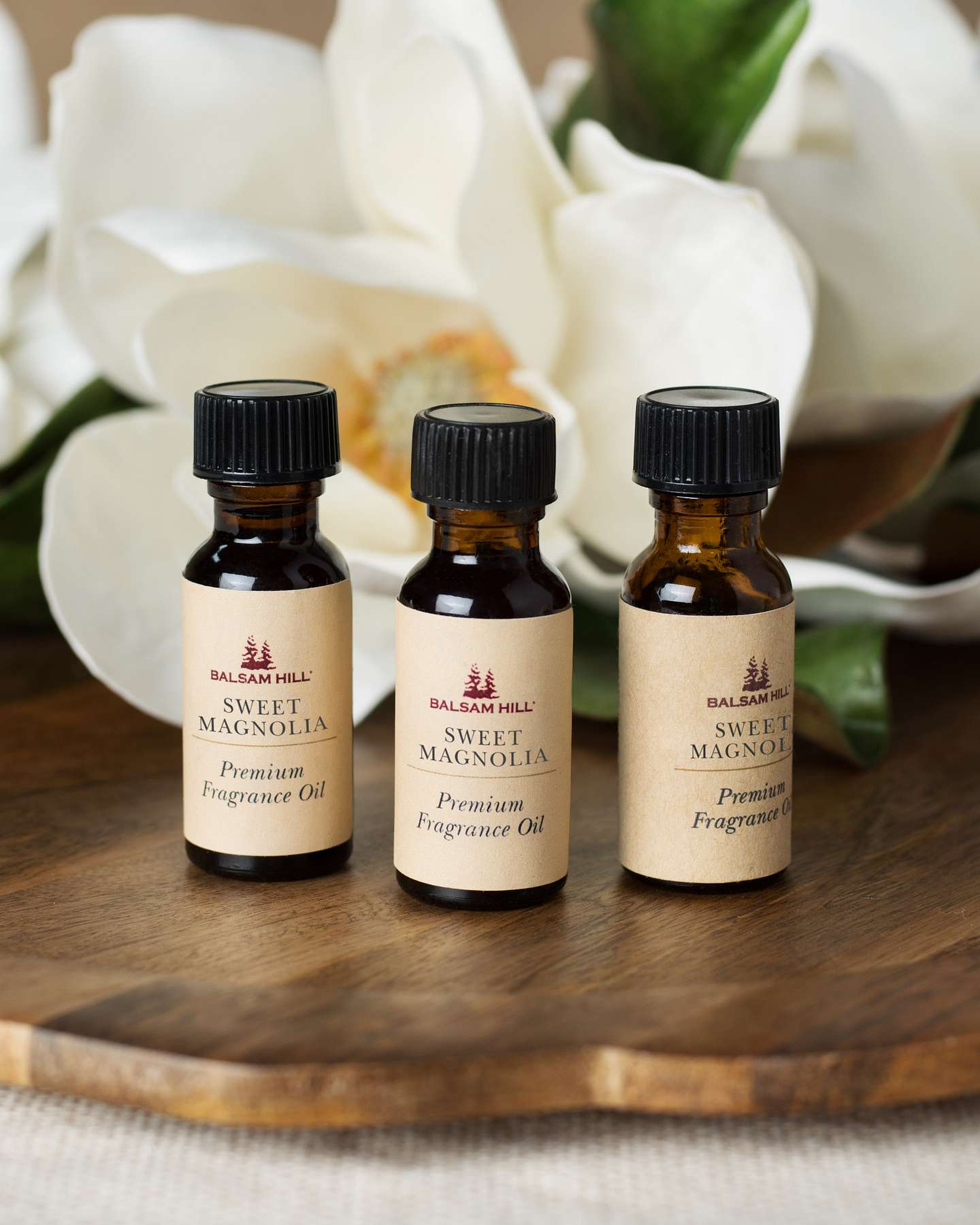 Balsam Hill Sweet Magnolia Scents of the Season Cartridge Set of 3