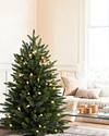 Poconos Pine Mini Tree by Balsam Hill Lifestyle 10