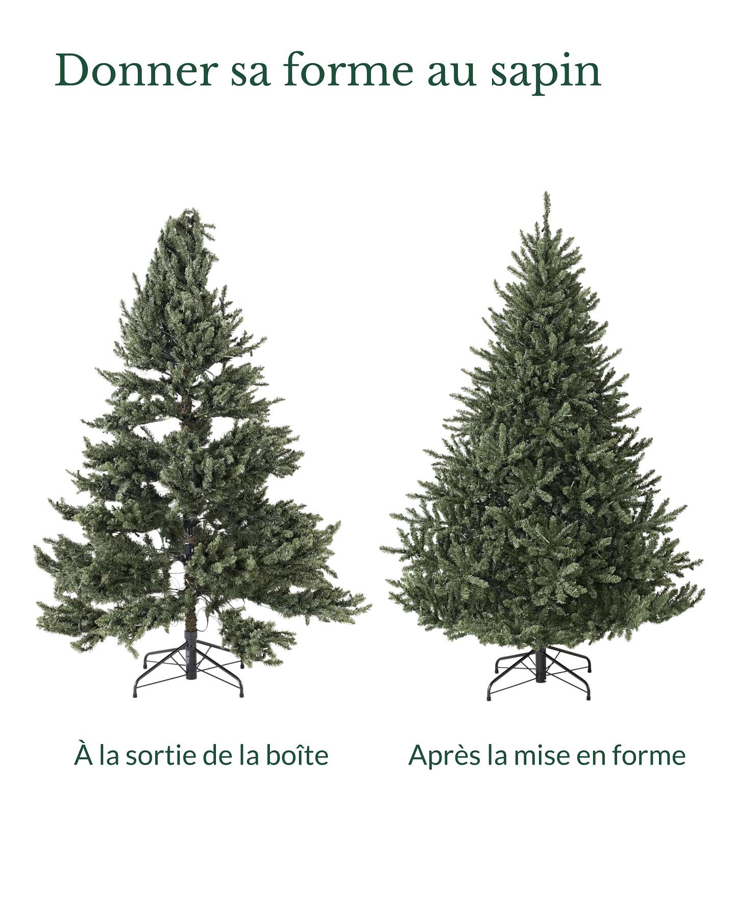 Épinette du Colorado classique de 6,5 pi