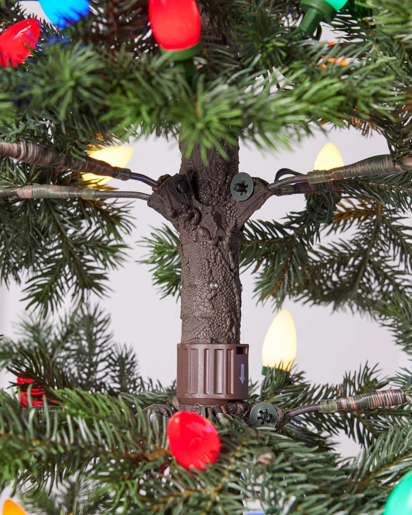 Yukon Spruce