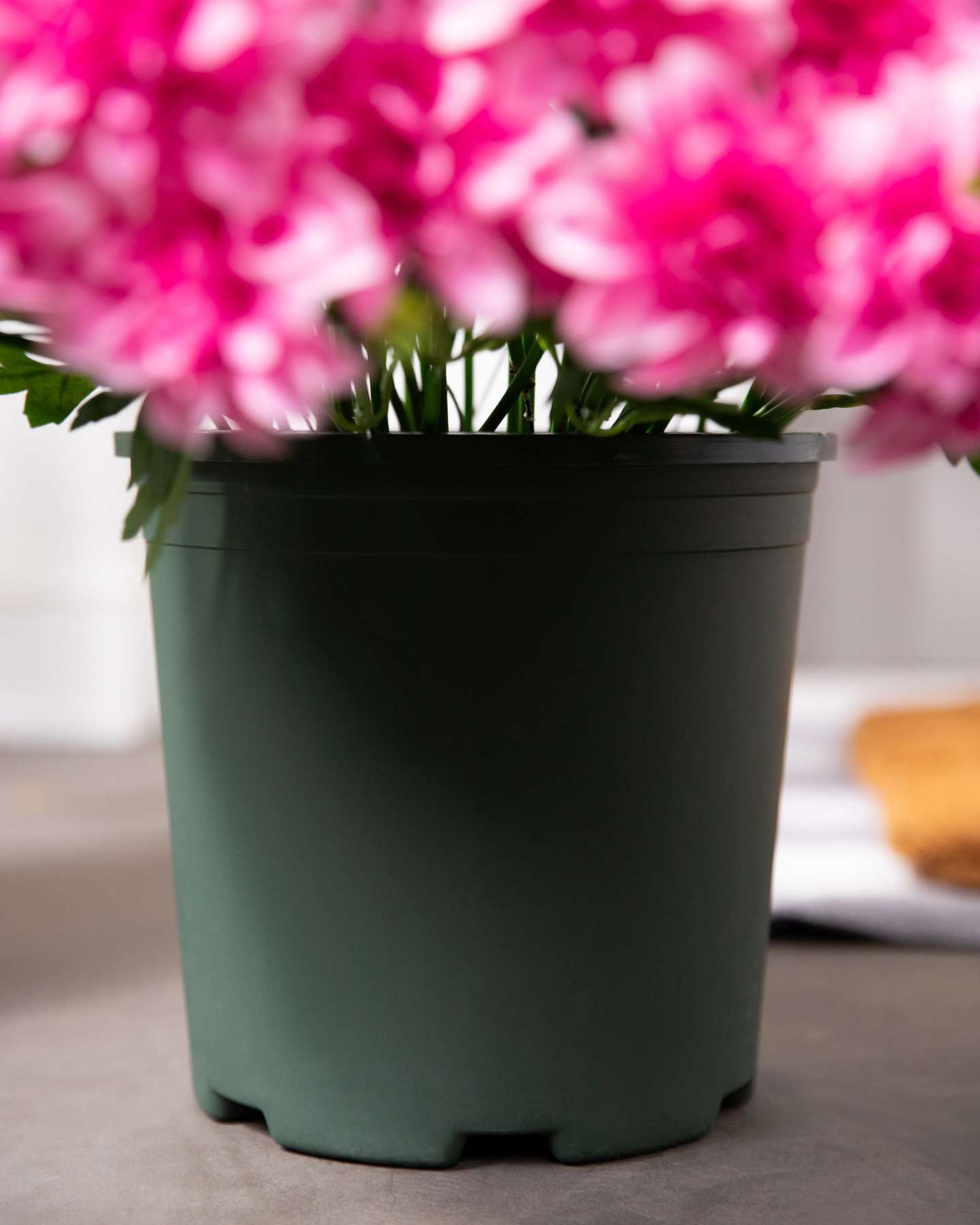 Balsam Hill Outdoor Blush Dahlia Delight Artificial Spring Foliage Pot Feature