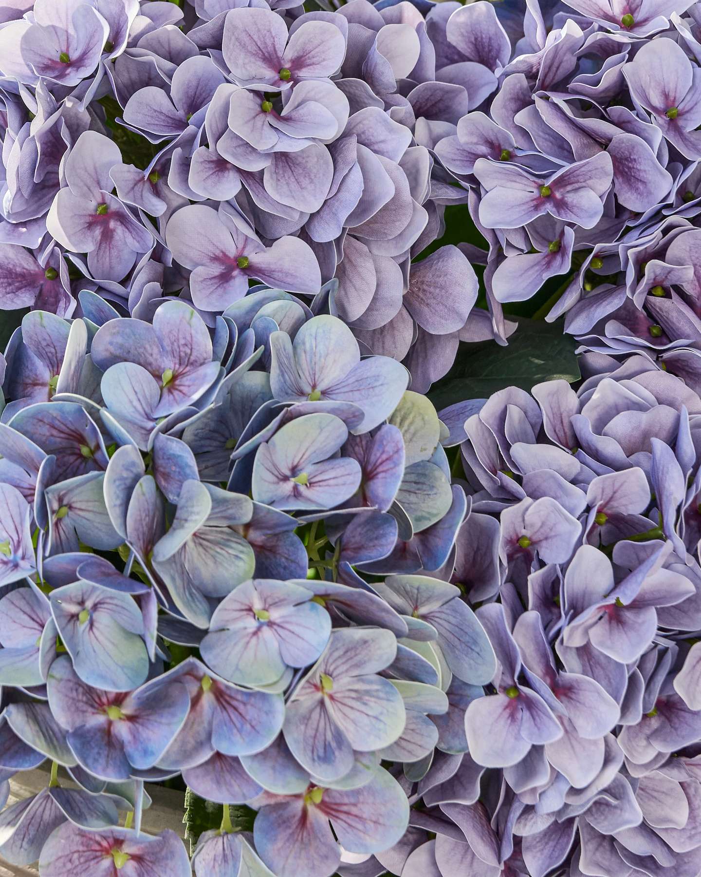 Outdoor Hydrangea Pot Filler Purple by Balsam Hill Branch Detail