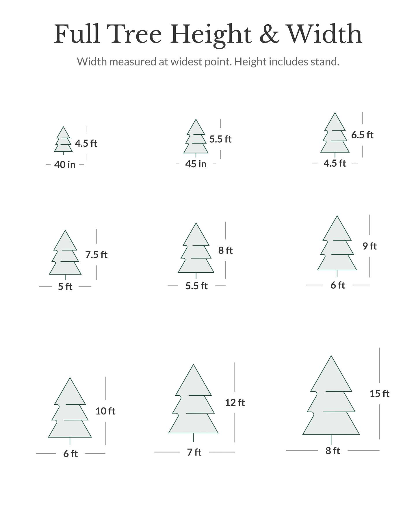 Classic Blue Spruce