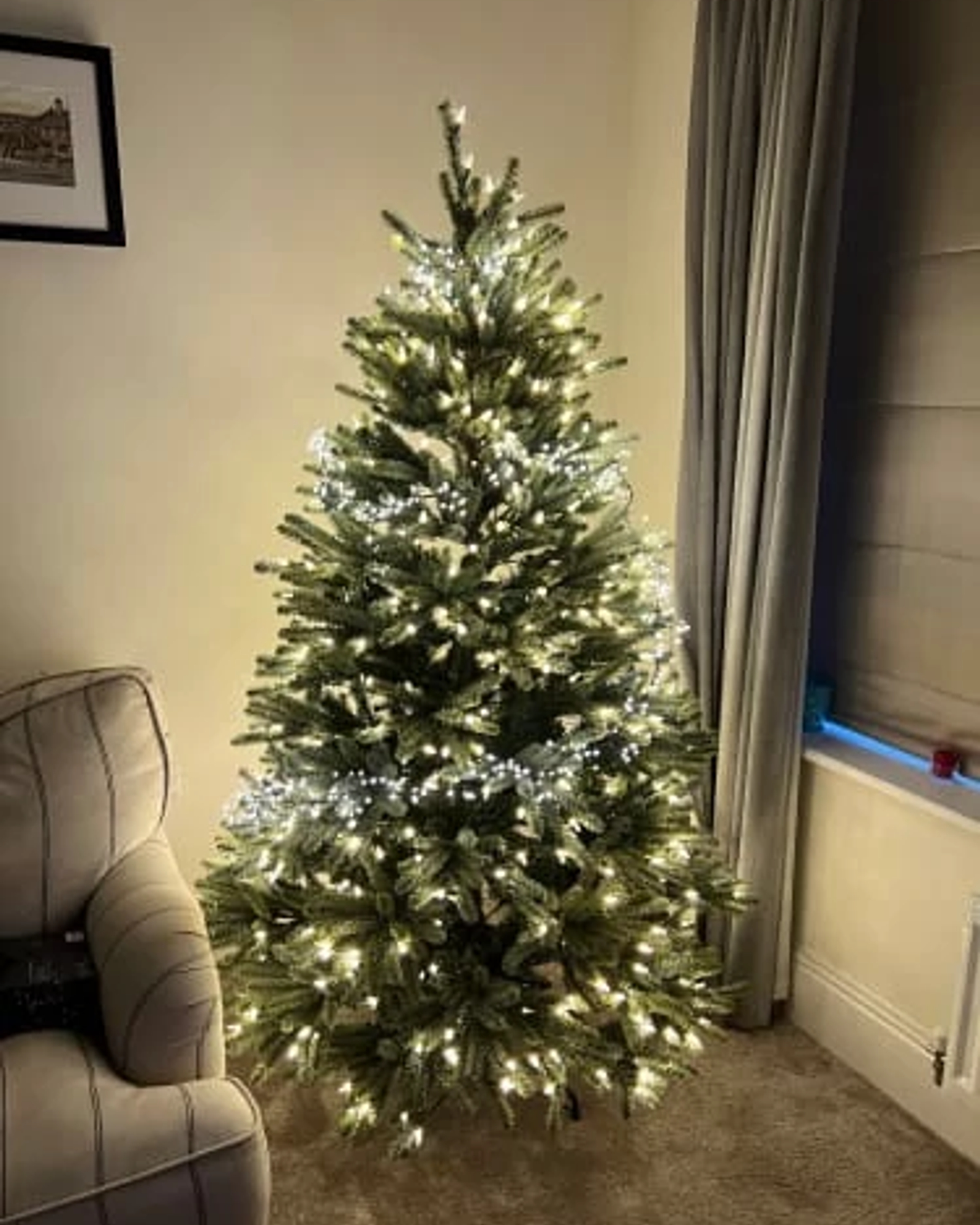 software Styrke region Royal Blue Spruce® Artificial Christmas Tree | Balsam Hill