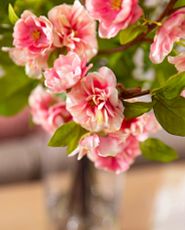 Closeup of artificial cherry blossom flowers