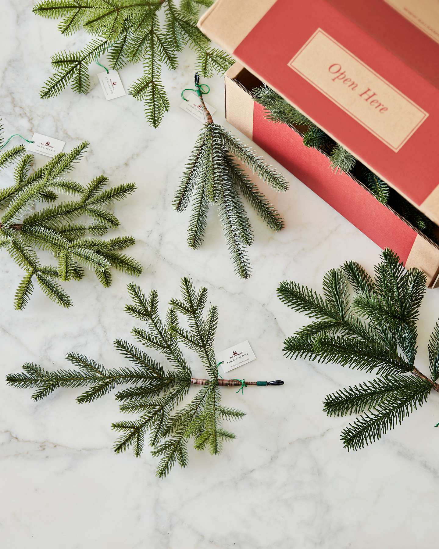 Branch Sample Kit by Balsam Hill Lifestyle 10