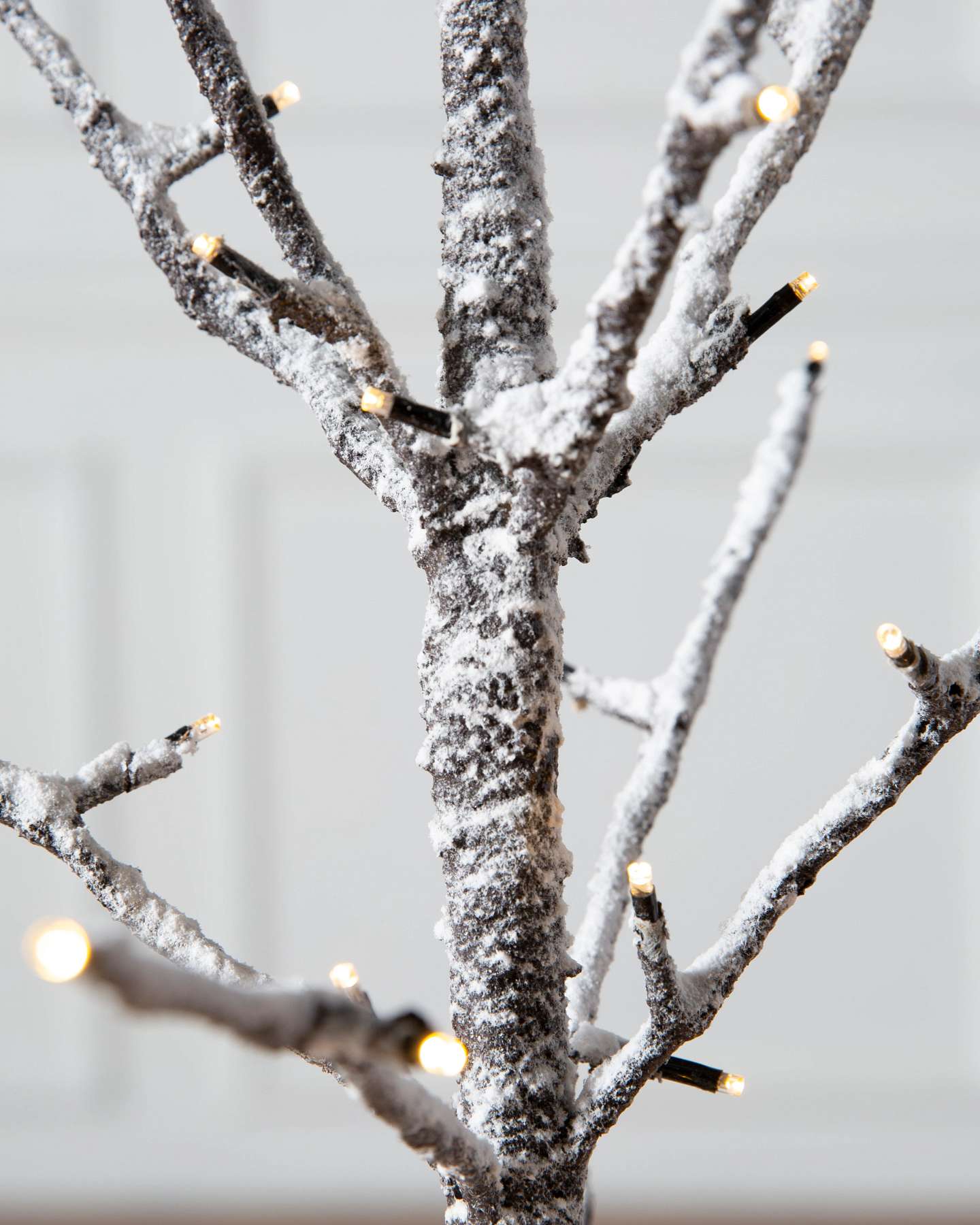 Balsam Hill Snowy Branch LED Artificial Christmas Tree Close-Up of Realistic Branches