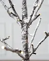 Snowy Branch LED Tree by Balsam Hill