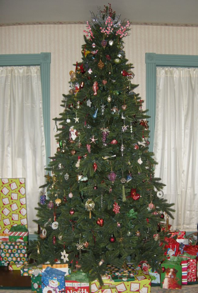 California Baby Redwood Christmas Tree Balsam Hill