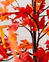 6ft Outdoor LED Autumn Maple Tree Closeup 40 by Balsam Hill