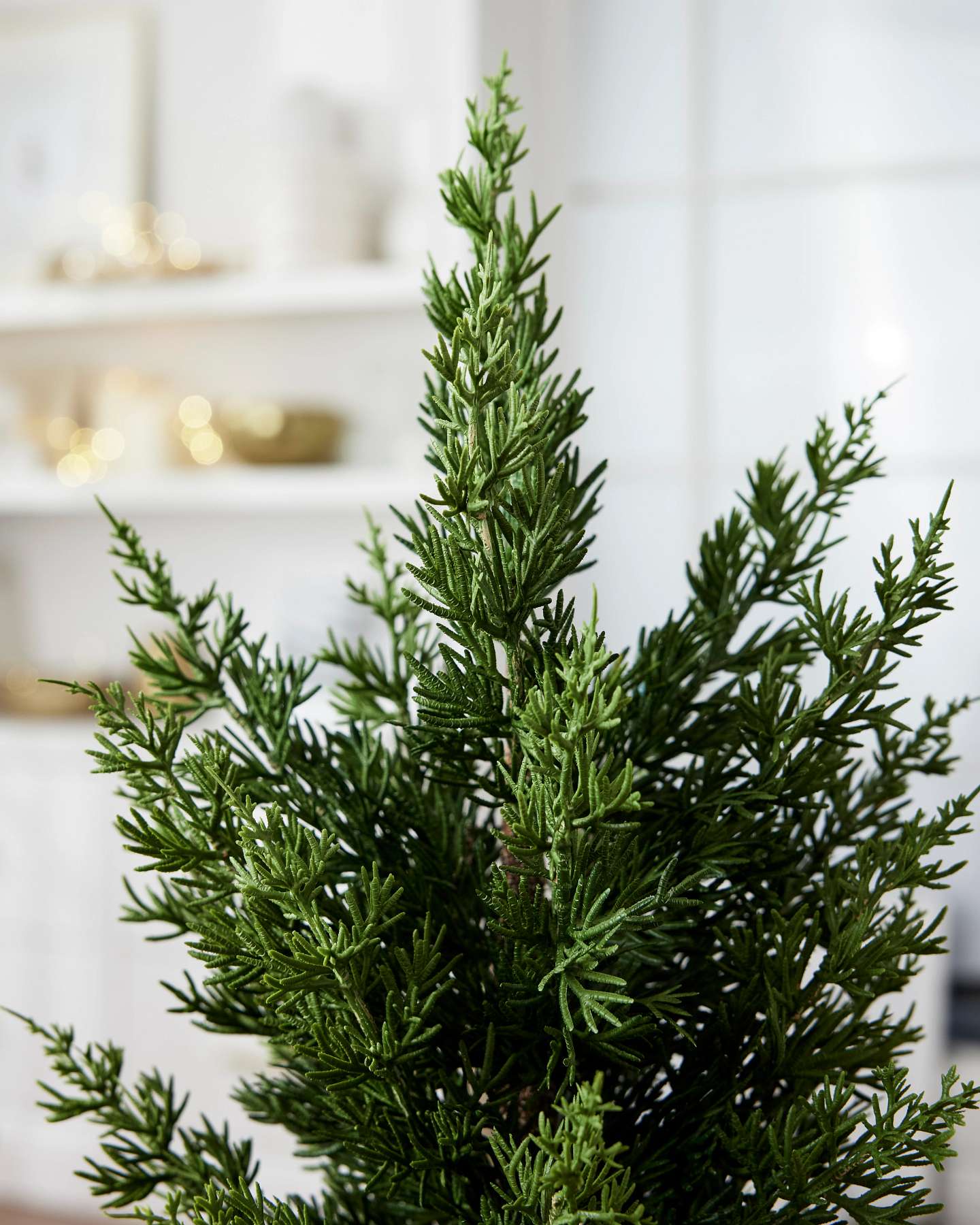 Balsam Hill Evergreen Tabletop Artificial Christmas Tree with Gold Base Set of 3 Foliage Closeup