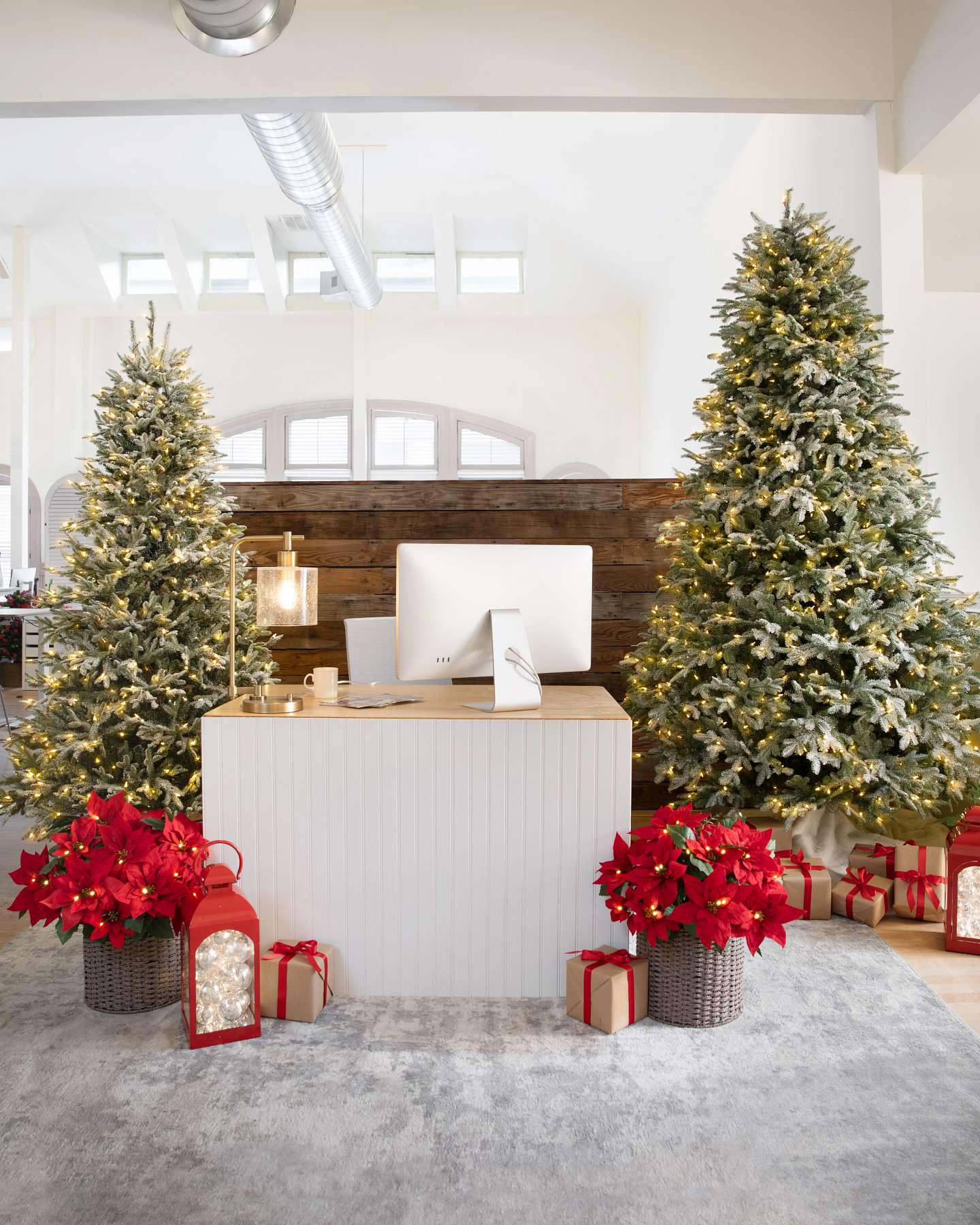 Balsam Hill Frosted Balsam Fir Artificial Christmas Tree Lifestyle Office Display