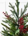 3ft Outdoor Red Berry Evergreen Potted Tree by Balsam Hill