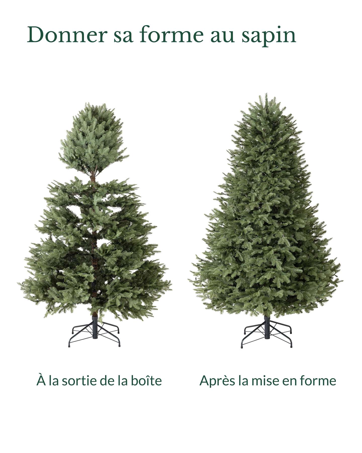 Sapin baumier de 5,5 pi