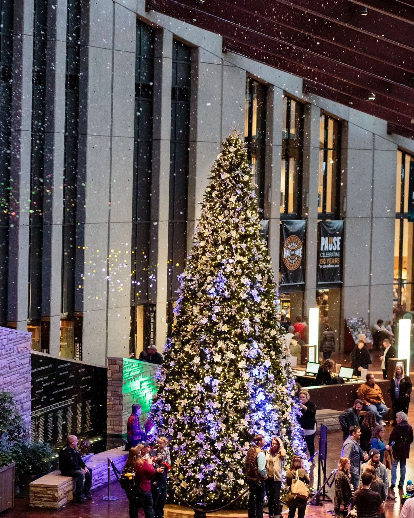 Balsam Hill Rockefeller Pine Artificial Christmas Tree Lifestyle Display