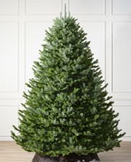 Artificial Christmas tree with a wide shape