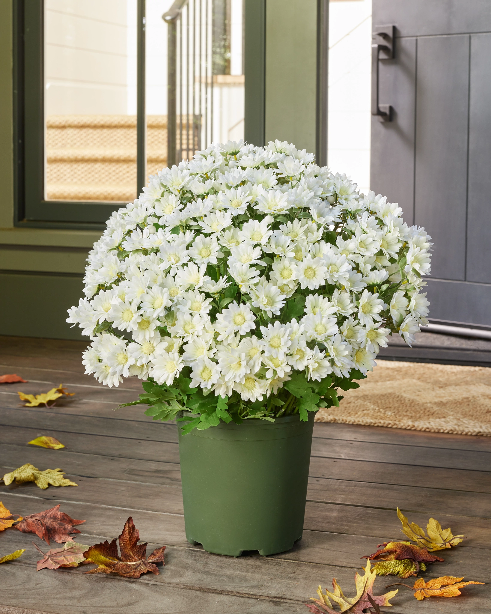 Ivory Button Mums Outdoor Ivory Sunset Mums Artificial Flower Arrangements | Balsam Hill