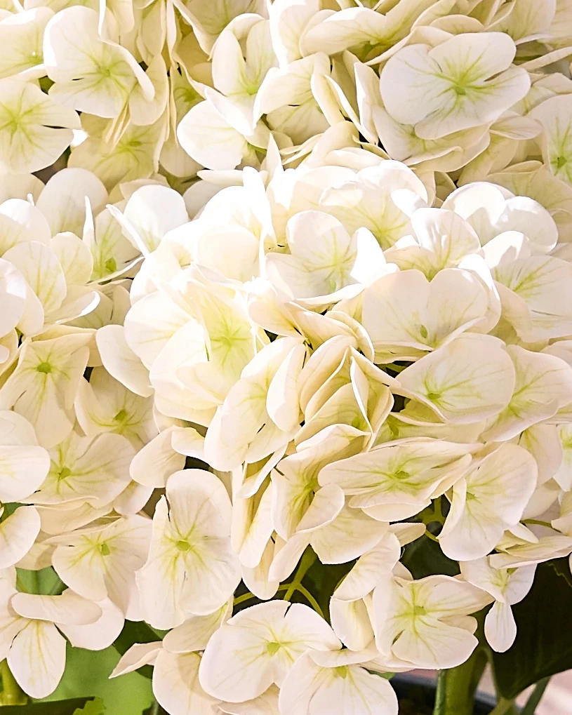 Outdoor Hydrangea Harmony Artificial Spring Foliage | Balsam Hill