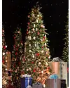 Red Spruce Slim Tree by Balsam Hill Lifestyle 10