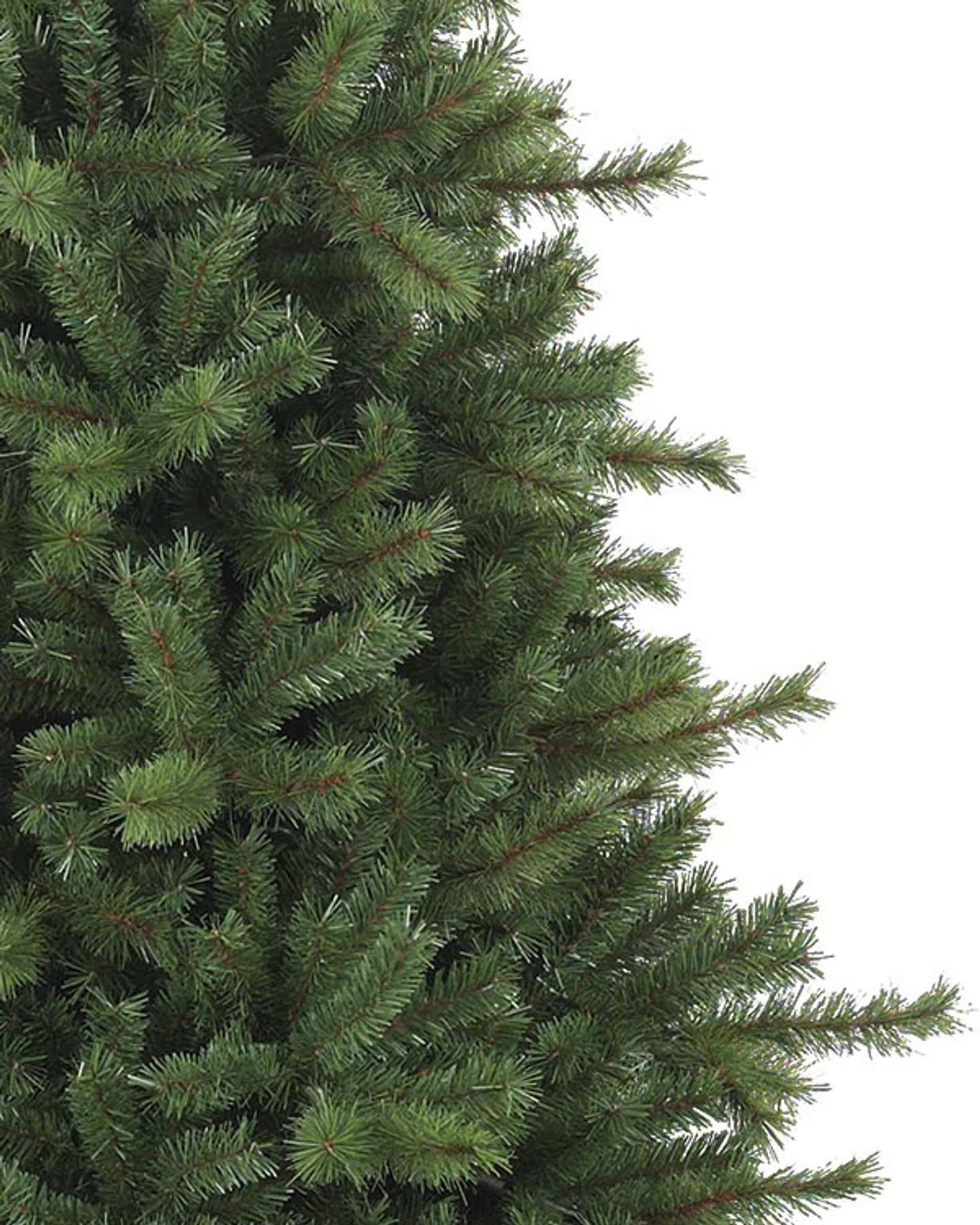 Branch Samples, Set of 16