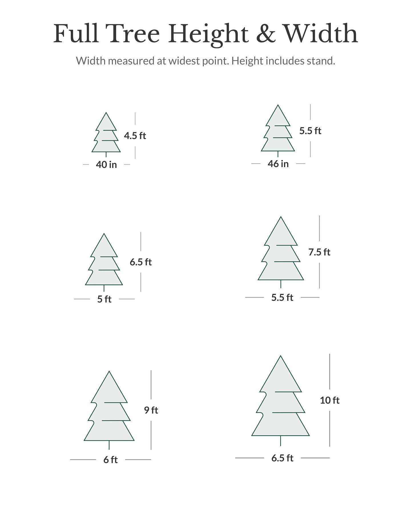 7.5' Vermont White Spruce